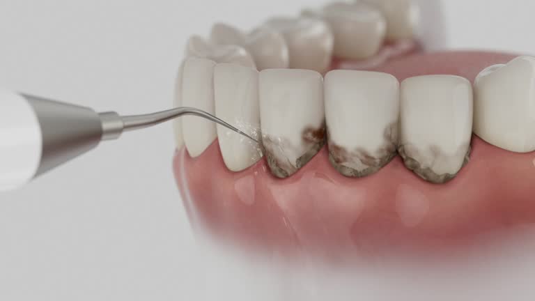 Reliable Dental contractor in Messiah College, PA by Dentist Open Now
